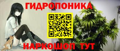 мдма Кингисепп