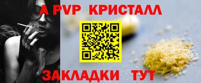 мдма Кингисепп