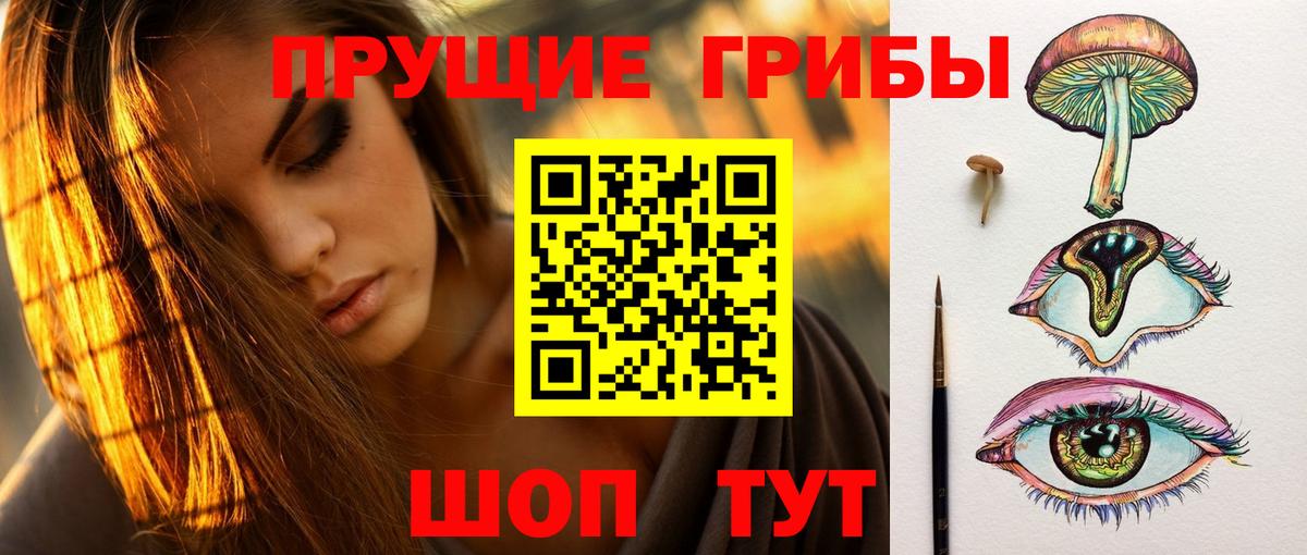 Пермь  Псилоцибиновые грибы Cubensis  Вход с VPN  Галлюциногенные грибы GOLDEN TEACHER 
